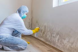 Why You Should Choose Our Mold Remediation Services in Laurium, MI